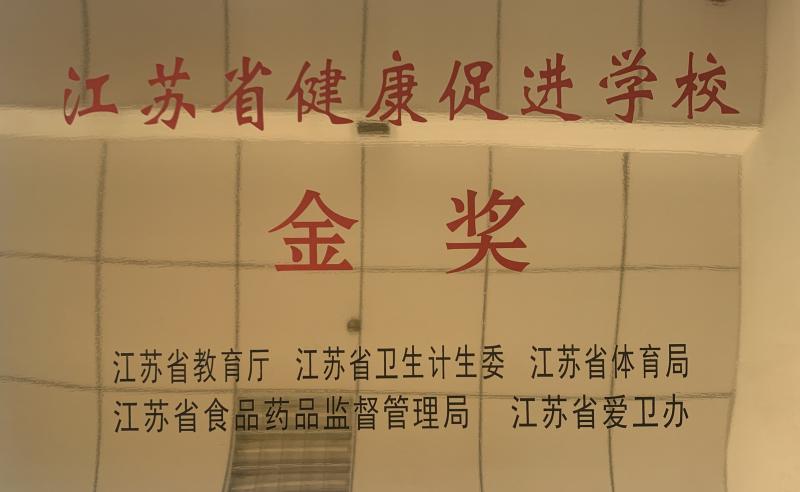 江苏省健康促进学校金奖